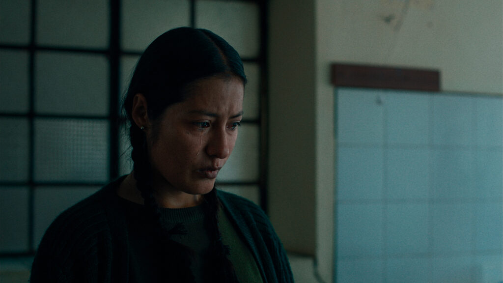 AnatomiaCaballo_01_Web