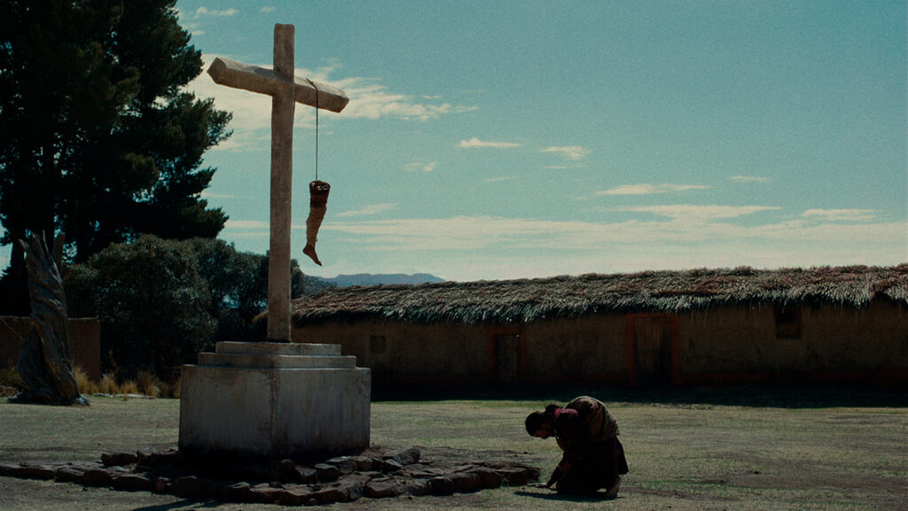 AnatomiaCaballo_03_Web